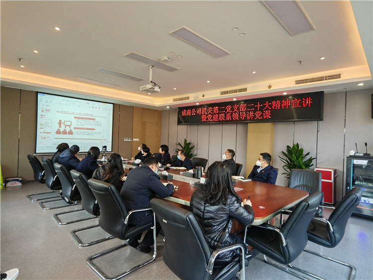 no594-成南公司第二黨支部召開二十大精神宣講會暨黨建聯(lián)系領(lǐng)導講黨課.jpg